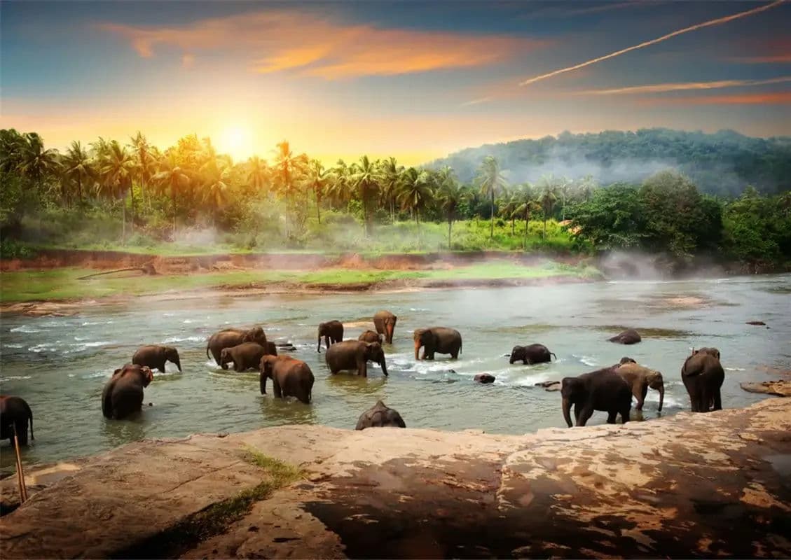 Decoding the Monsoons: The Ultimate Guide to the Best Time to Visit Sri Lanka