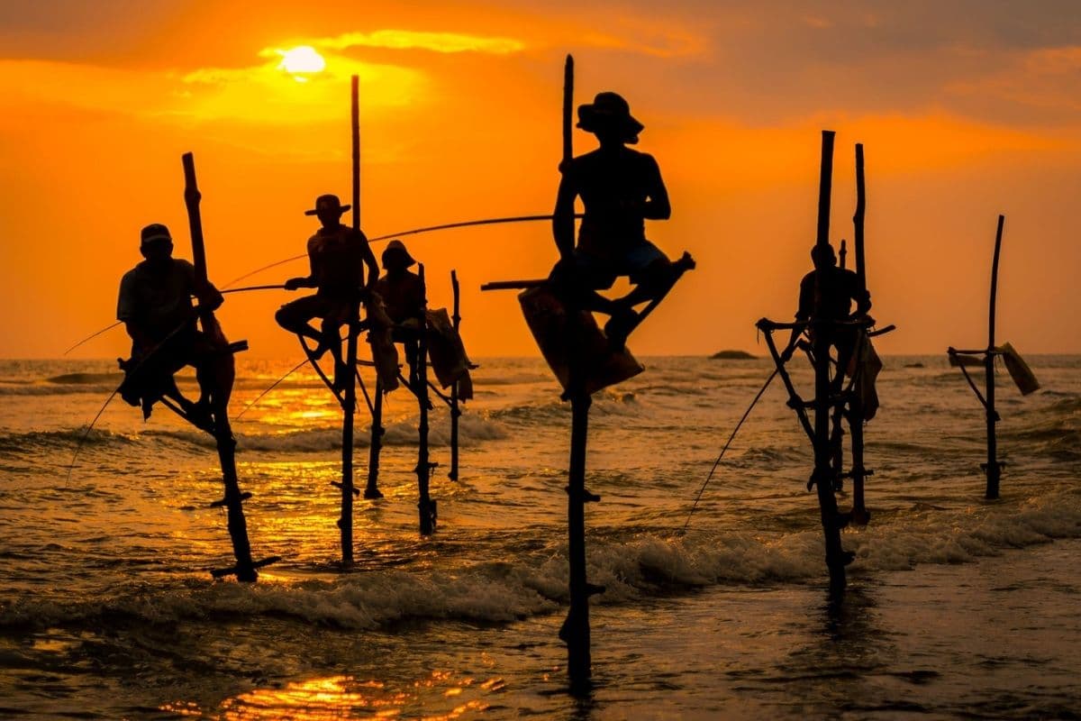 he Perfect 14-Day Sri Lanka Itinerary: From Ancient Cities to South Coast Shores