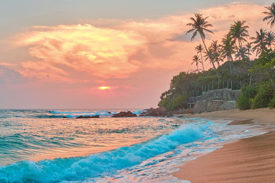Sun, Surf, and Sand: The Ultimate Guide to Sri Lanka's Best Beaches